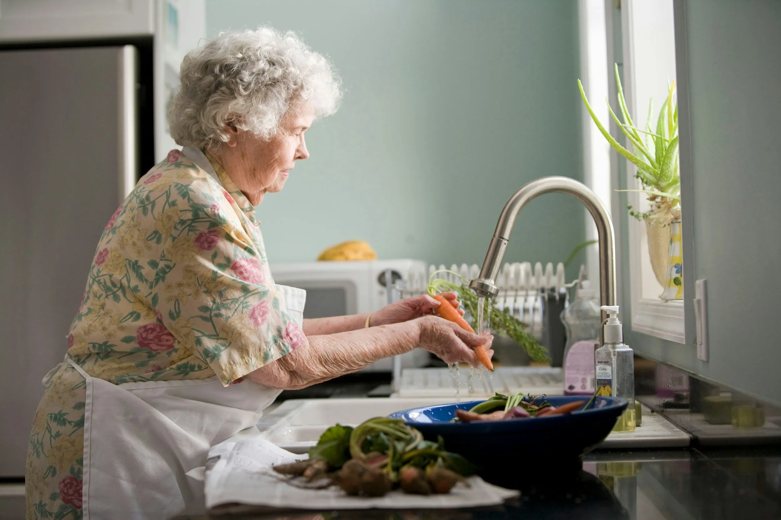 Caregiver talking with an older adult at home